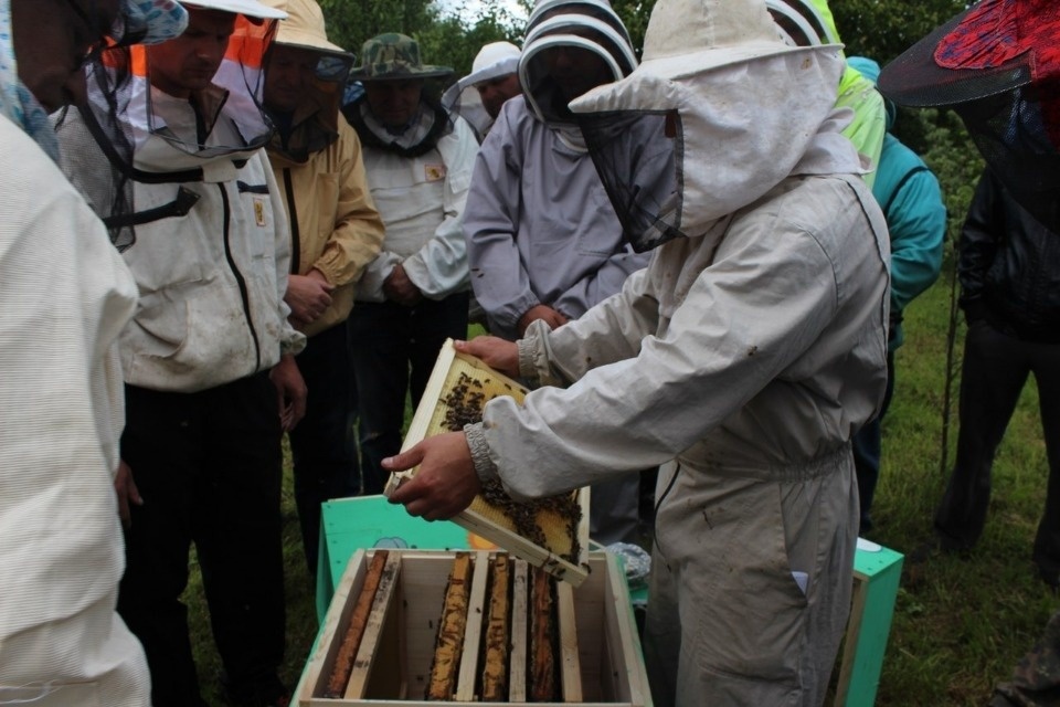 Бизнес помогает