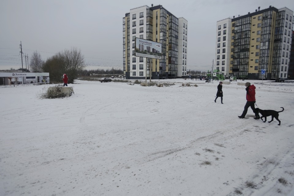 Свет в конце Овсища