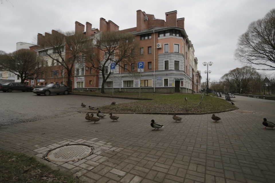 В Пскову текли фекалии из ливнёвки