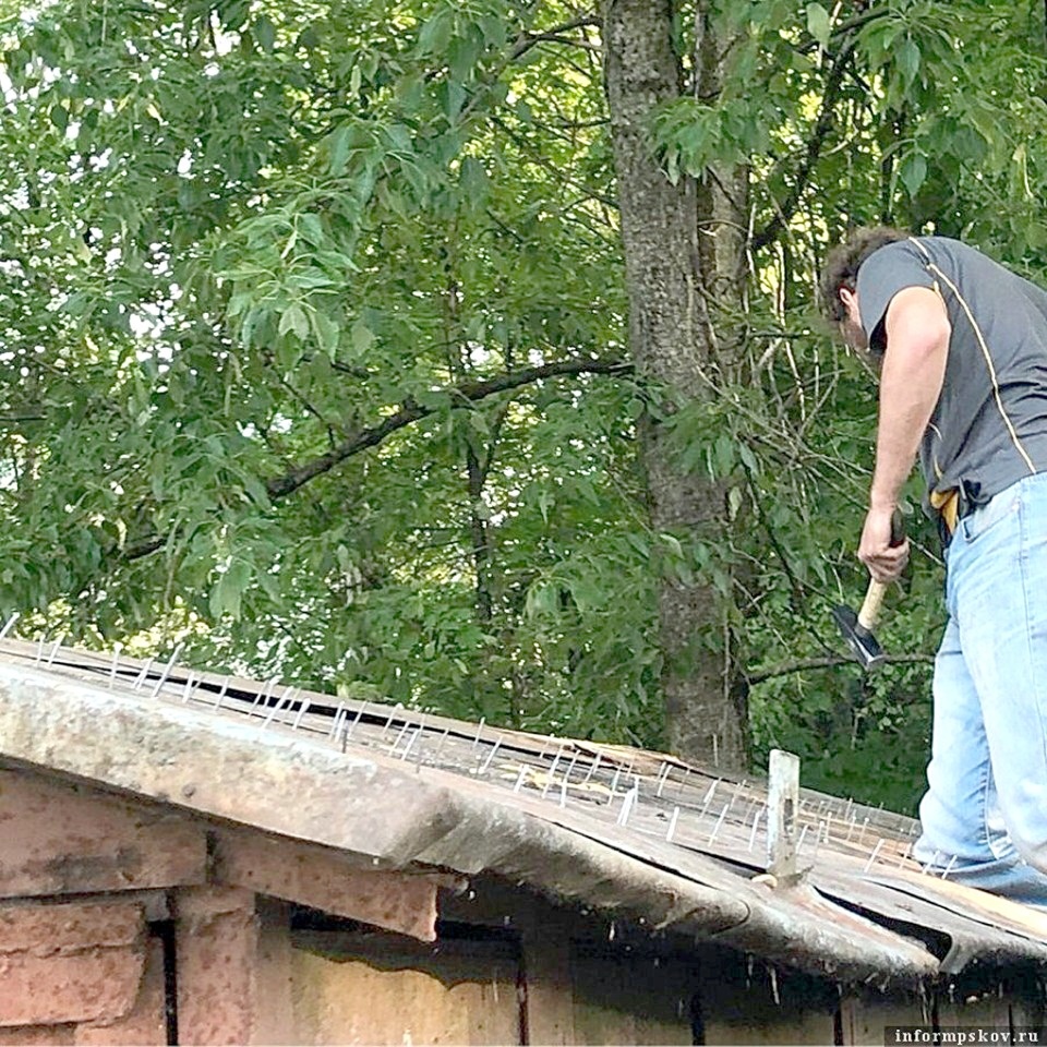 100 ярких фактов 2019 года