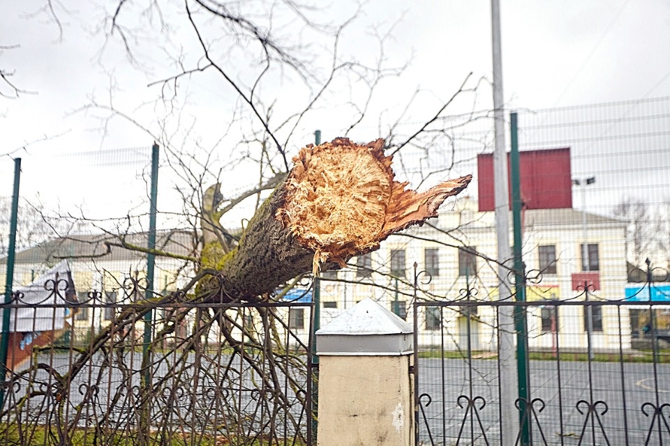 100 ярких фактов 2019 года