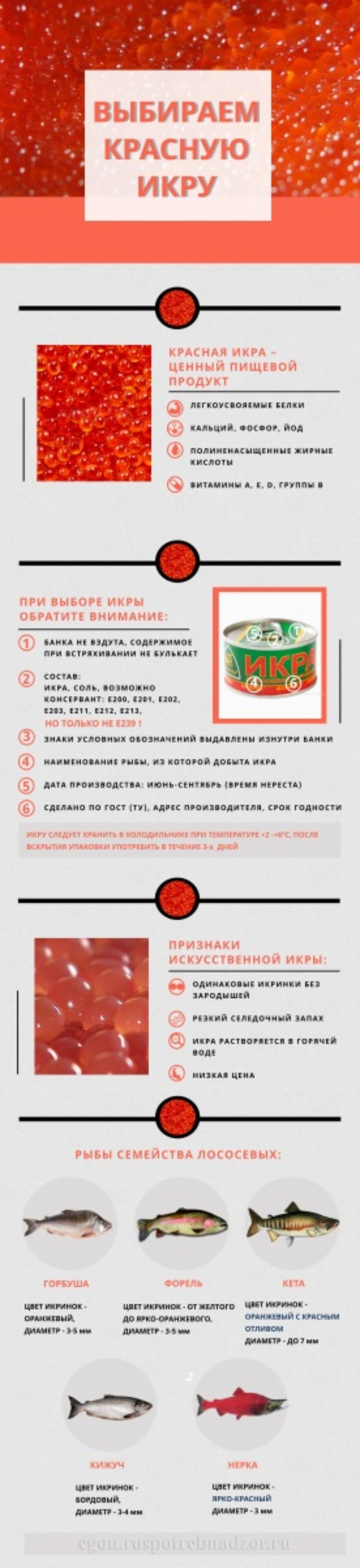 Роспотребнадзор рассказал псковичам, как выбрать вкусную красную икру