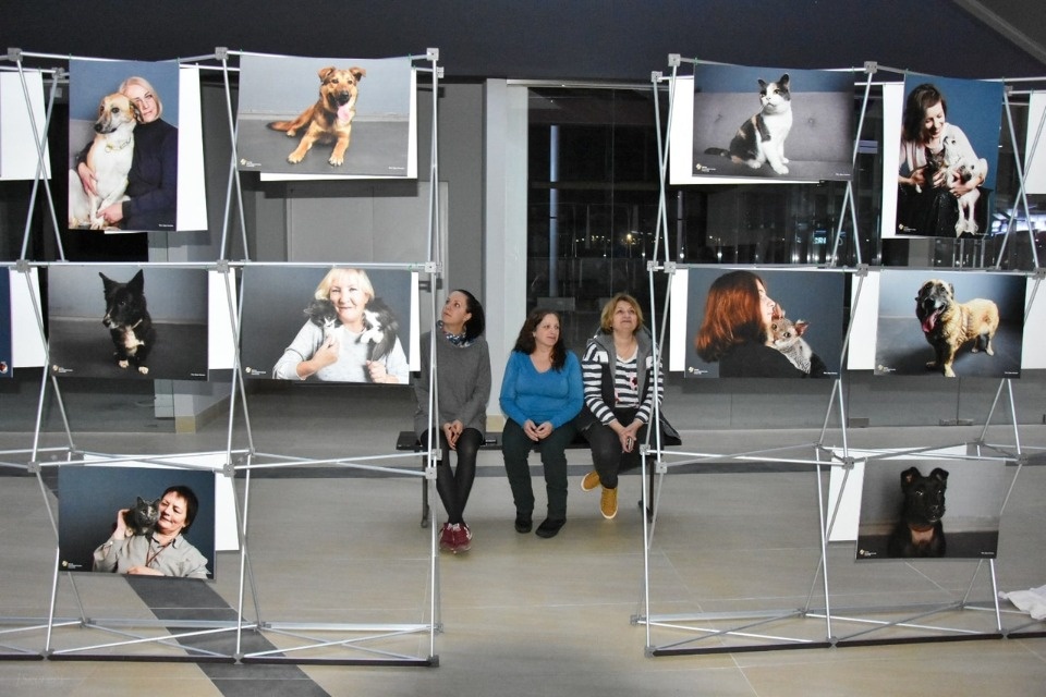 В Пскове открылась фотовыставка о бездомных животных и тех, кто нашел себе дом