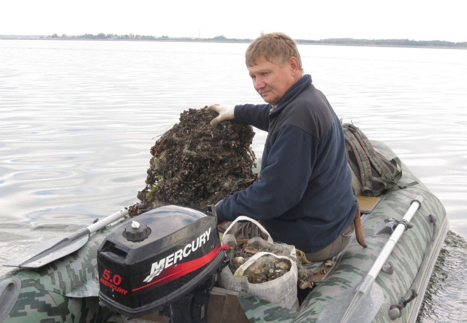 Псковские реки и озера накрыла паутина брошенных сетей