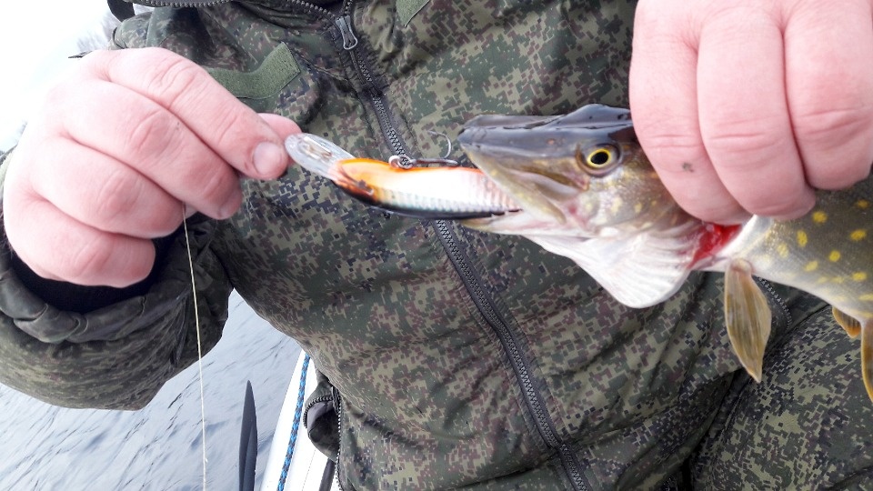 Рыболов  отыскал причину разного клева на одном озере в одинаковую погоду