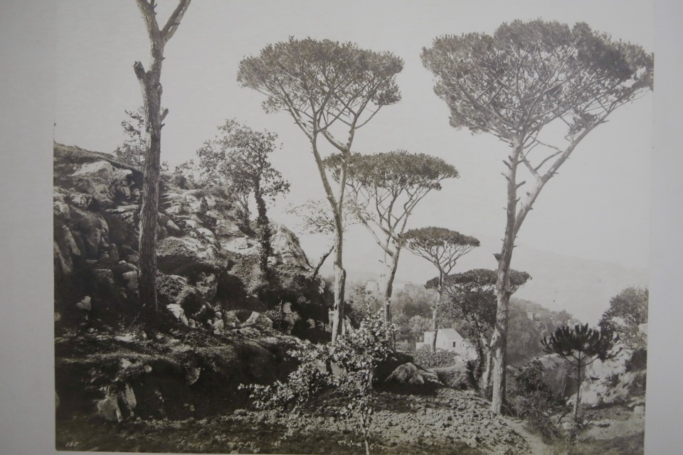 Выставка «Личная библиотека ученого: Юрий Спегальский и современники»