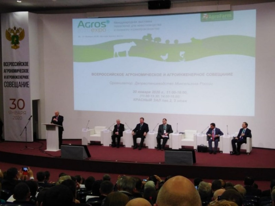 Псковская область заняла первое место среди регионов России по приросту урожайности зерна и бобов