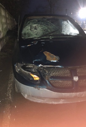 Друзья и родные насмерть сбитого под Псковом мужчины не верят показаниям свидетеля