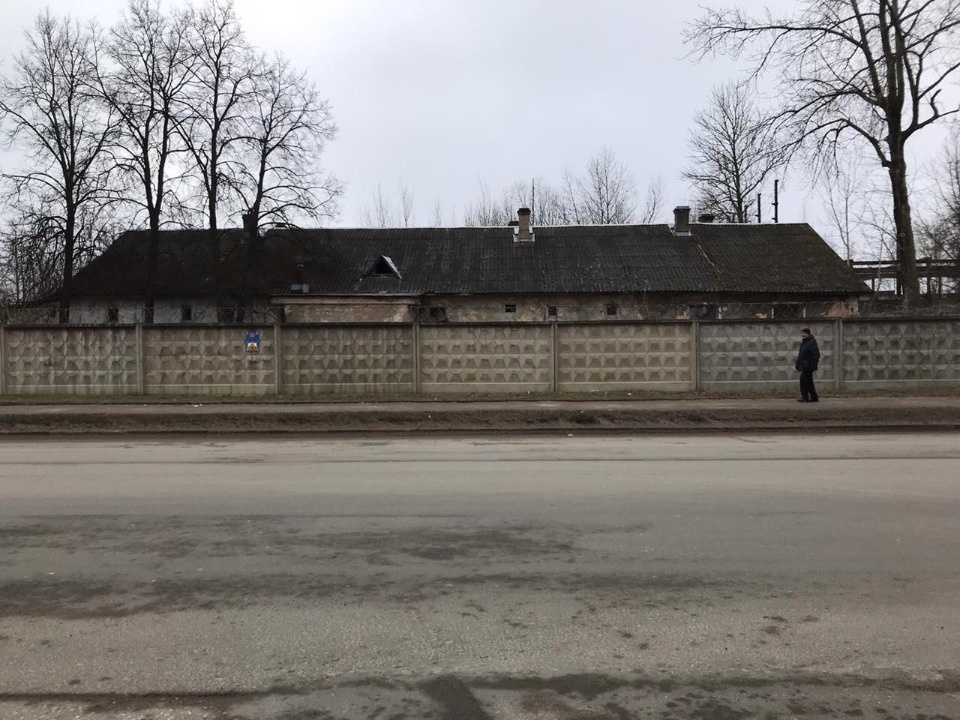 Старейшее плодовое дерево Псковской области увидели участники экскурсии по Овсищу