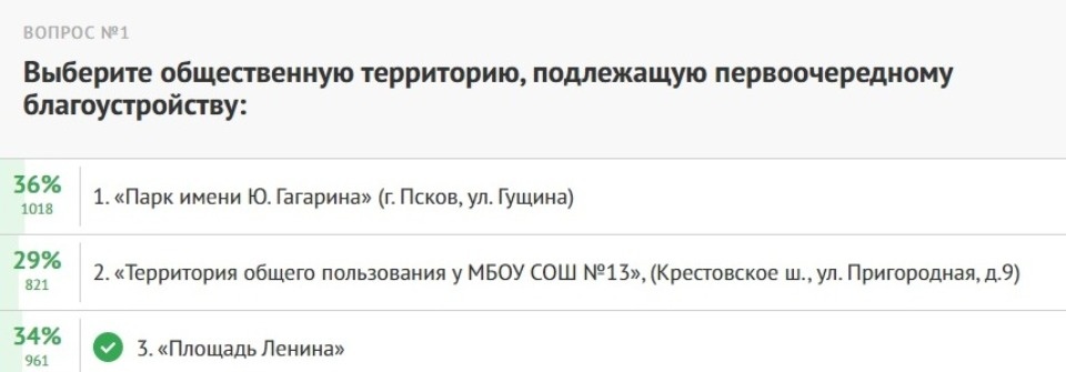 Как псковичи голосуют за благоустройство общественных пространств
