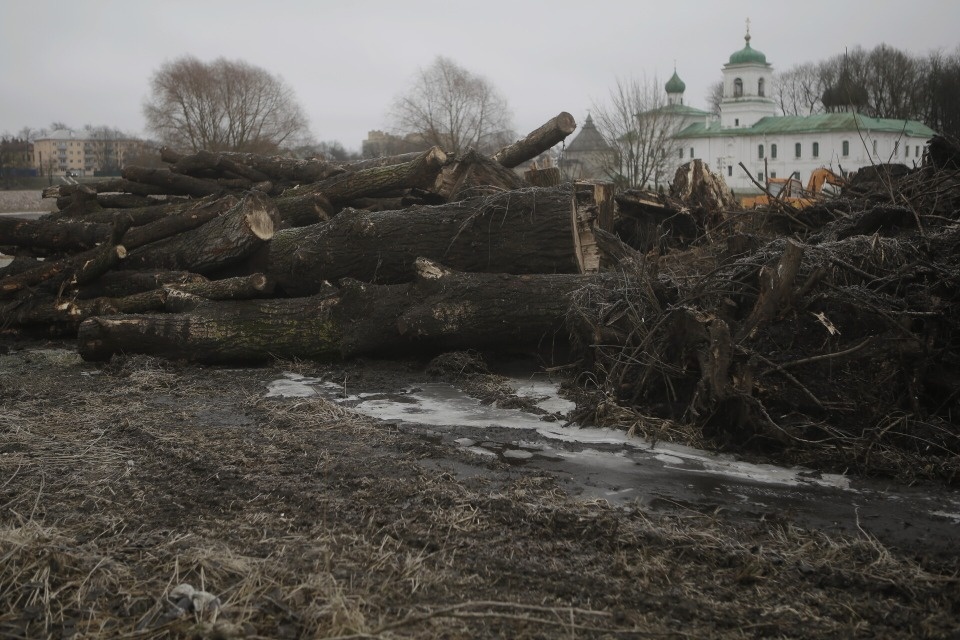 К озеленению парка у Мирожского монастыря хотят привлечь псковичей