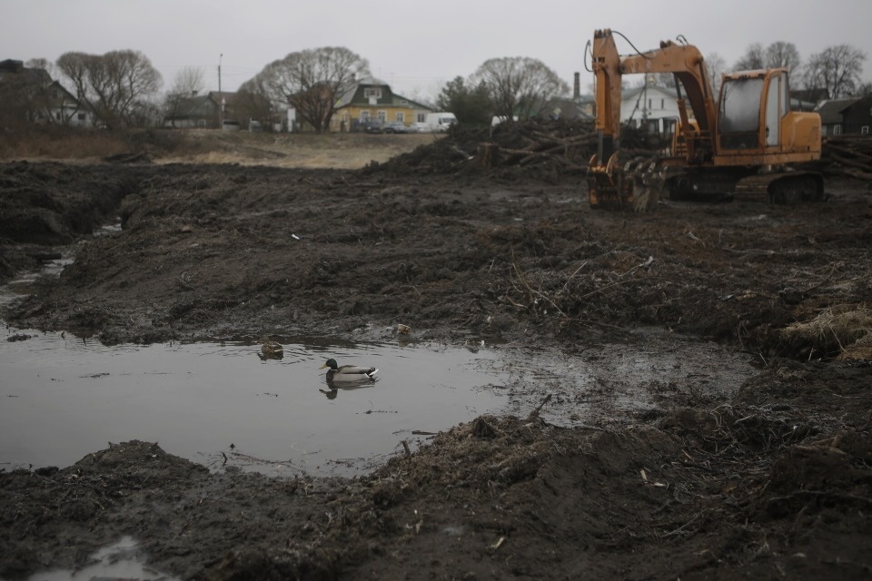 К озеленению парка у Мирожского монастыря хотят привлечь псковичей