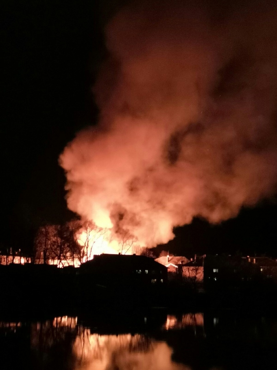 В сараях в Невеле сгорели дрова и пара газовых баллонов