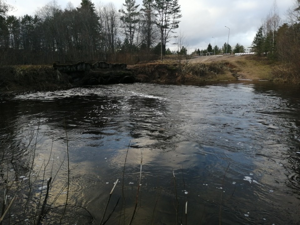 Лёня Хазов:  Маме не сказал, она бы волновалась