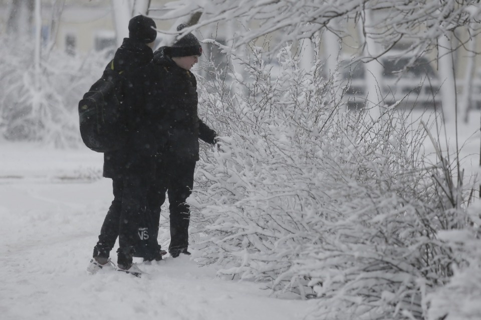 В Пскове неожиданно началась зима