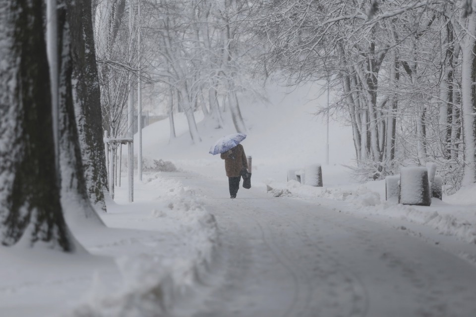 В Пскове неожиданно началась зима