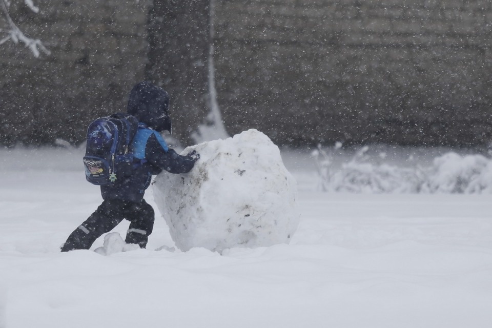 В Пскове неожиданно началась зима
