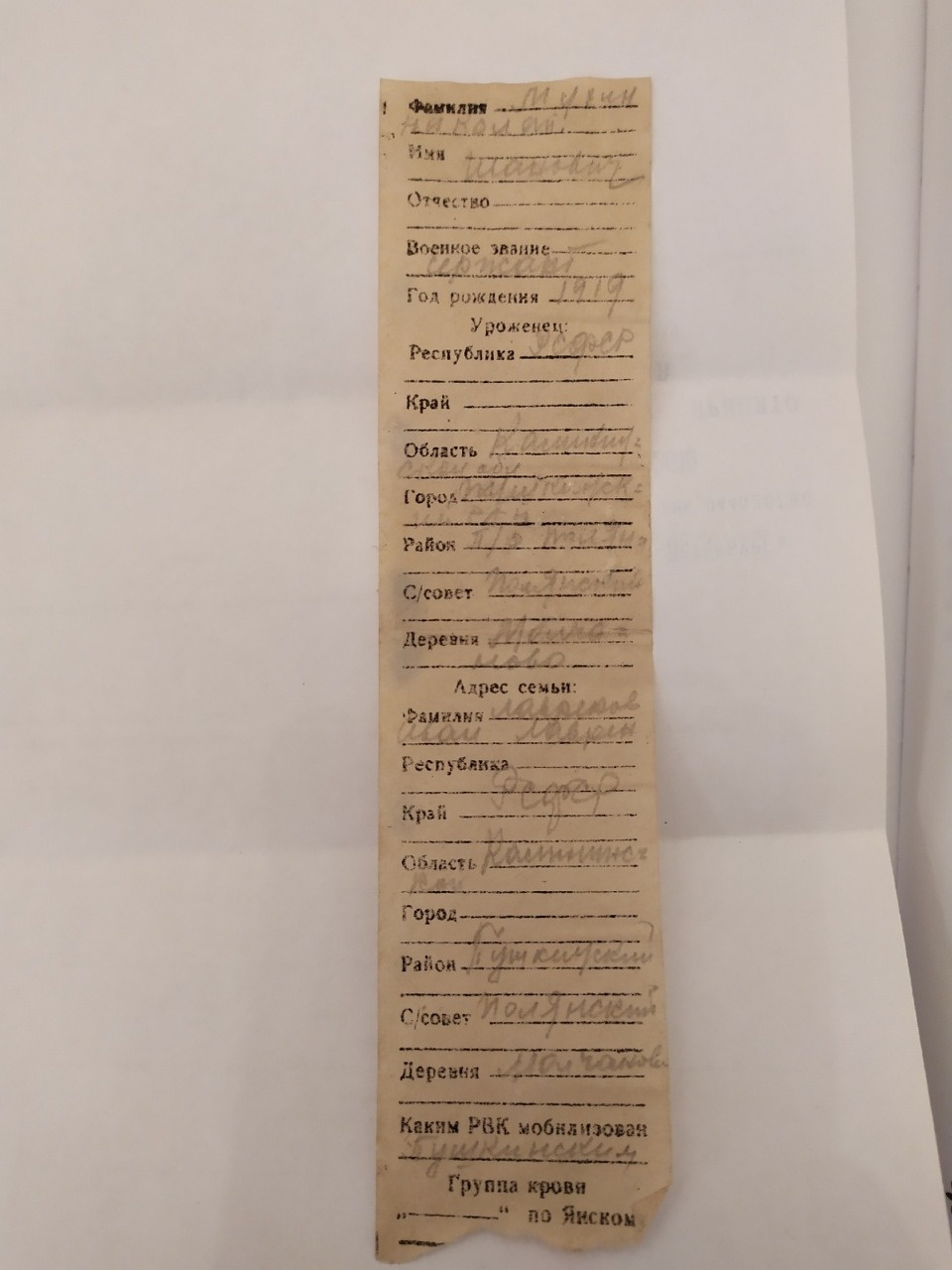 Поисковики из Ленобласти ищут родных  бойца из Пушкиногорья Николая Мухина