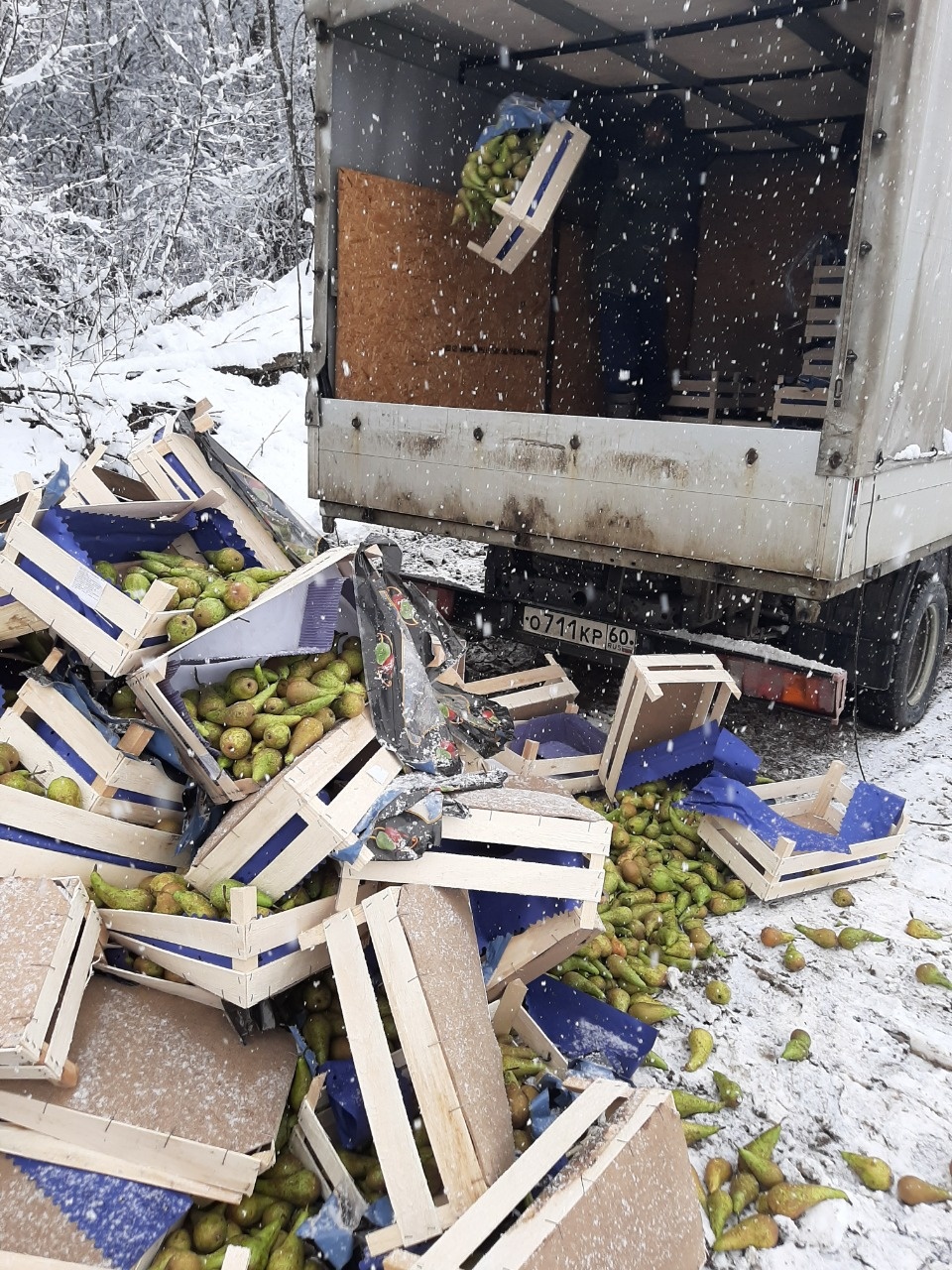 На складе в Великих Луках нашли и уничтожили 1,5 тонны польских груш На складе в Великих Луках нашли и уничтожили 1,5 тонны польских груш