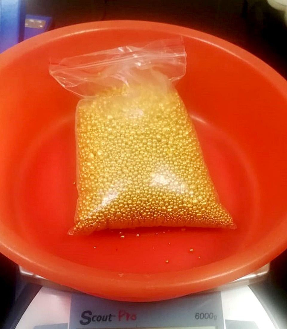 Самые интересные находки псковских таможенников последнего времени