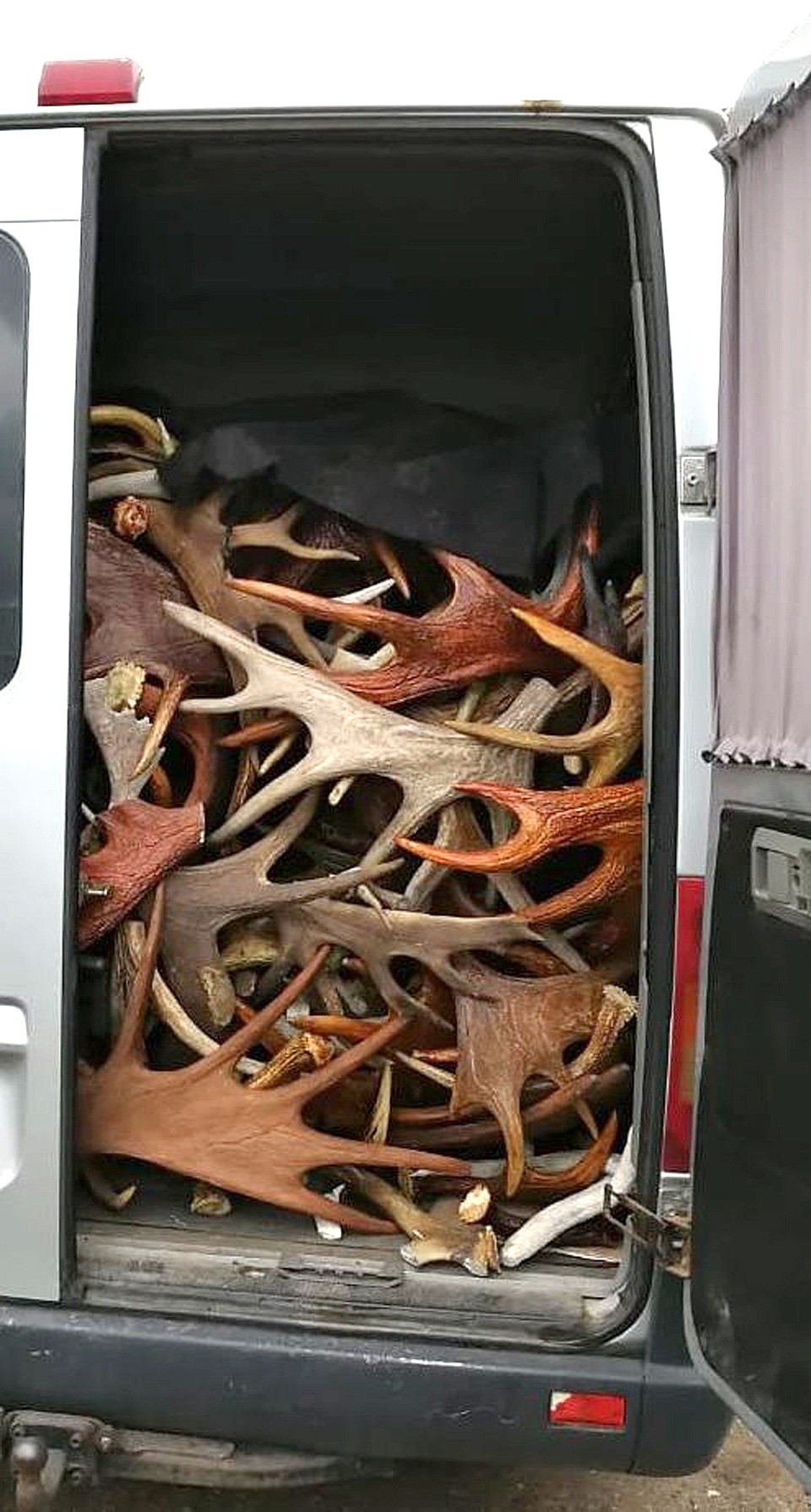 Самые интересные находки псковских таможенников последнего времени