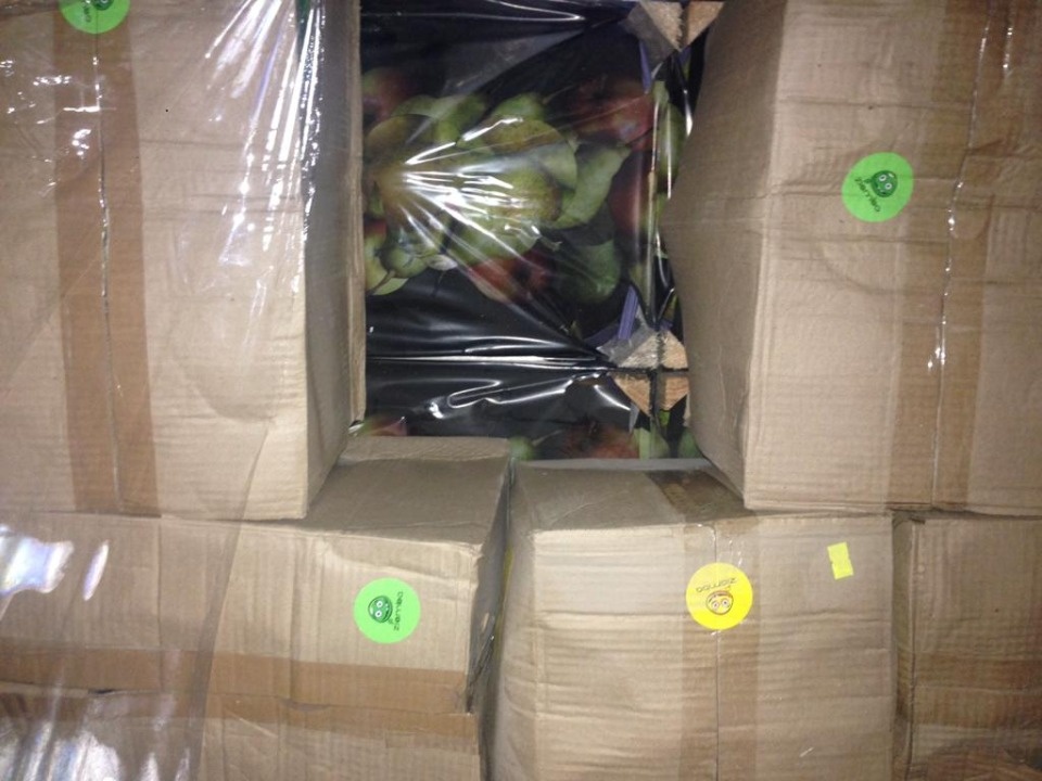 Самые интересные находки псковских таможенников последнего времени