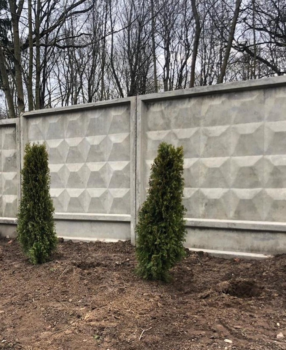 Восемь туй украли от памятника 6-й роте в Черехе Восемь туй украли от памятника 6-й роте в Черехе