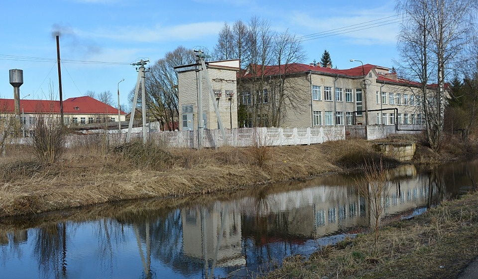 Новоржевскую школу закрыли на карантин 