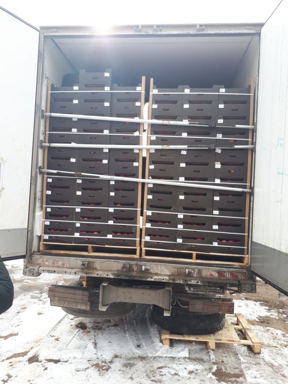 Псковские пограничники задержали на границе три тонны мяса и десять тонн яблок Псковские пограничники задержали на границе три тонны мяса и десять тонн яблок