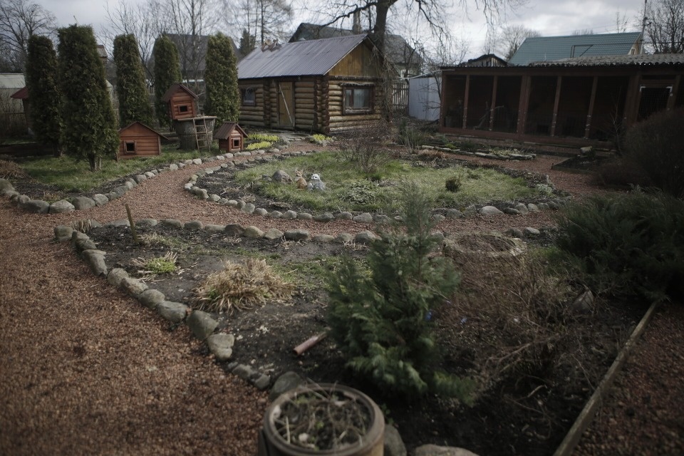 Шерстяные звезды