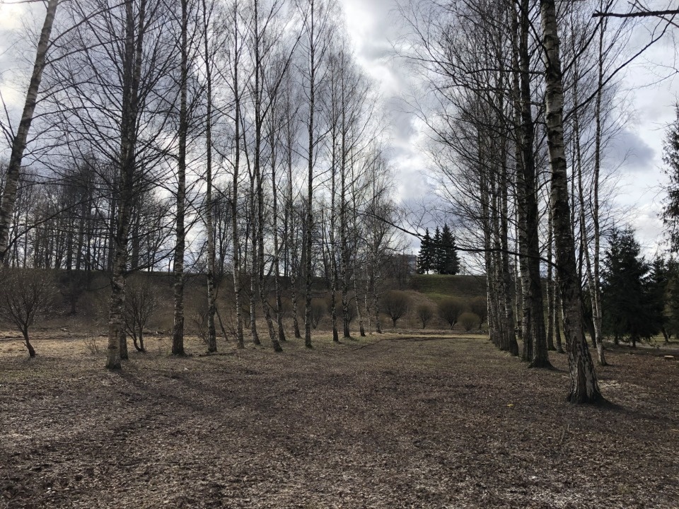 В Великих Луках до конца года обустроят Петровский парк с бюстом Петра I и Яблоней любви В Великих Луках до конца года обустроят Петровский парк с бюстом Петра I и Яблоней любви
