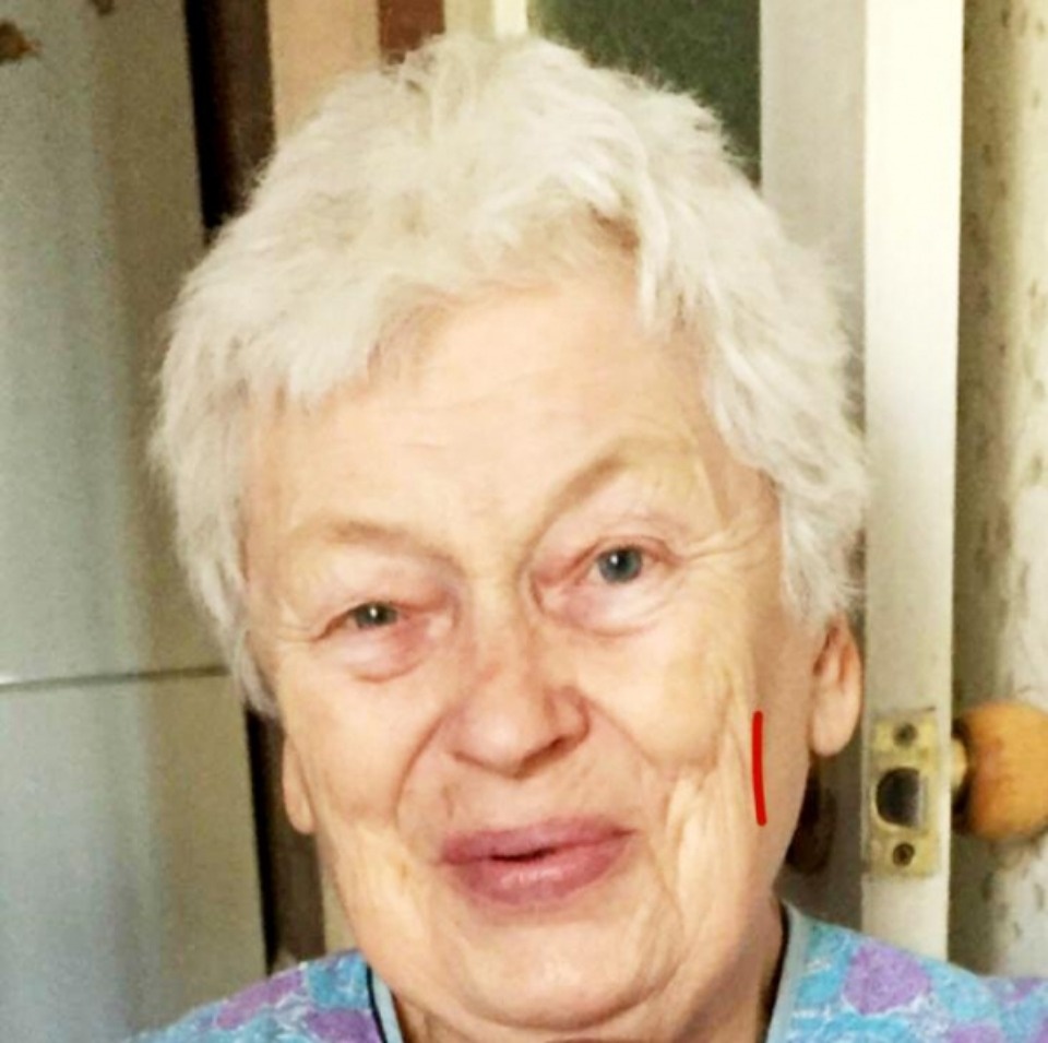 Полиция разыскивает пожилую псковичку, которая вчера ушла из дома Полиция разыскивает пожилую псковичку, которая вчера ушла из дома