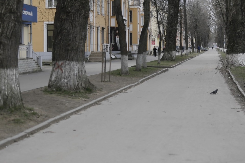 Псков на карантине