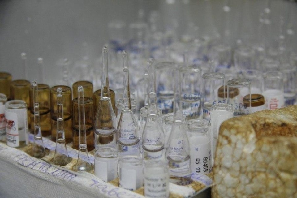  Коронавирус выявлен у двух жителей Великих Лук