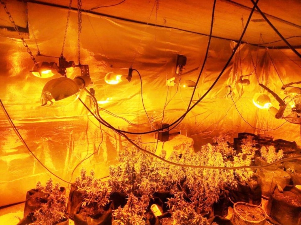 Нарколабораторию обнаружили полицейские в Псковском районе 