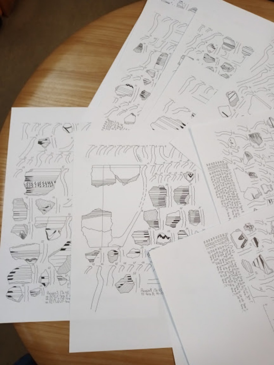 Псковские археологи продолжают работу над отчетом по исследованию поселения Горожане 