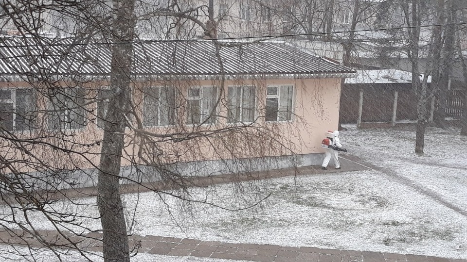 У контактировавших с заболевшей коронавирусом себежанкой первые тесты оказались отрицательными