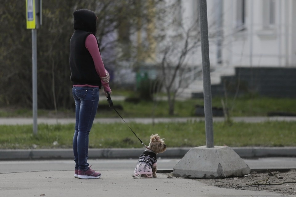 Закрыто на карантин