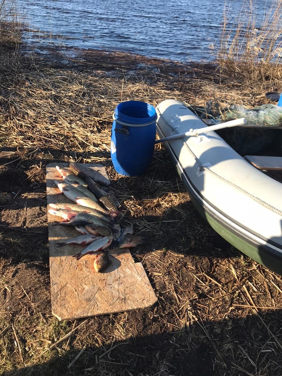 Уголовное дело возбуждено по факту незаконного вылова рыбы в Чудском озере Уголовное дело возбуждено по факту незаконного вылова рыбы в Чудском озере