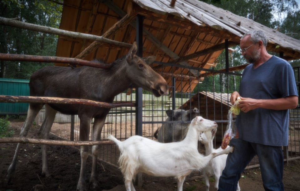 Опекун для рыси