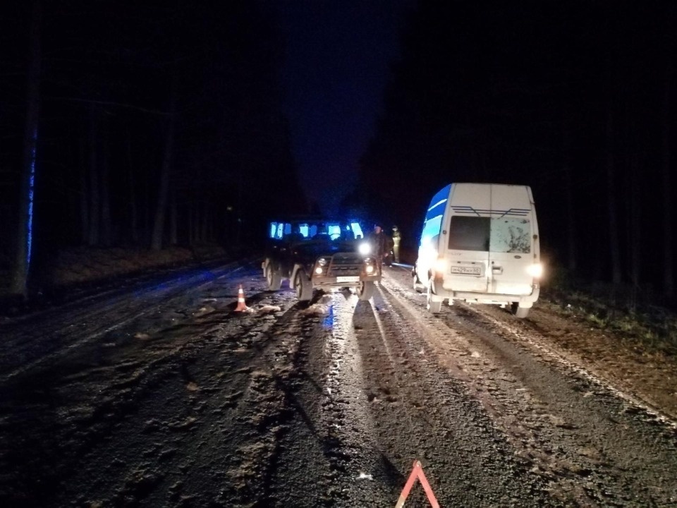 Пассажир пострадал при столкновении автомобиля с лосем на трассе Псков — Гдов 