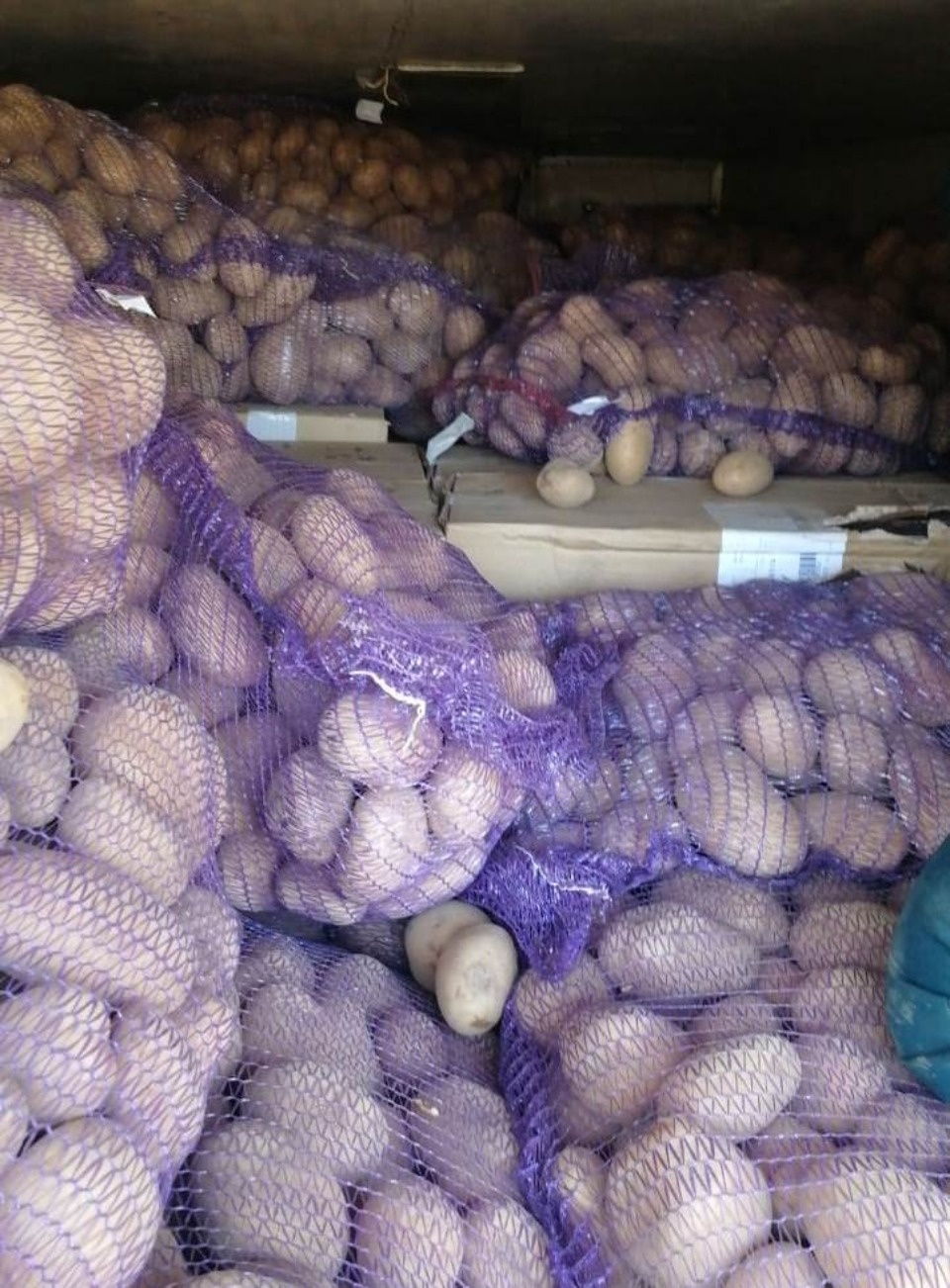 270 коробок сигарет пытались незаконно ввезти в Псковскую область