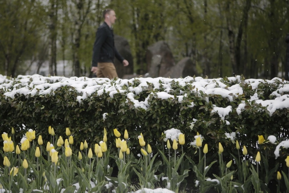 Как снег на голову