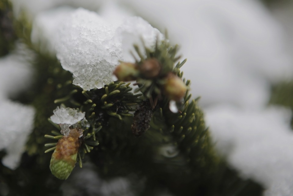 Как снег на голову
