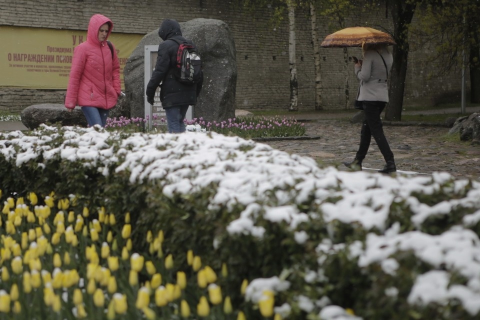 Как снег на голову