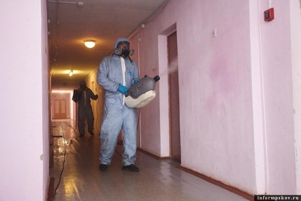 105 актов о некачественной дезинфекции подъездов составлены в Псковской области
