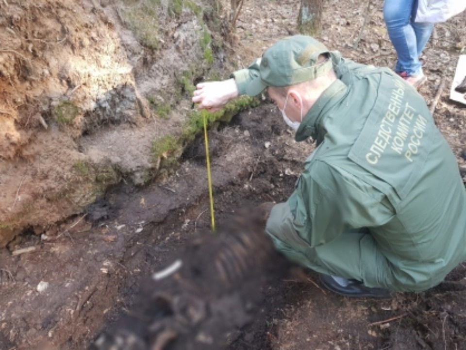 Убийство семилетней давности расследуют в Псковском районе 