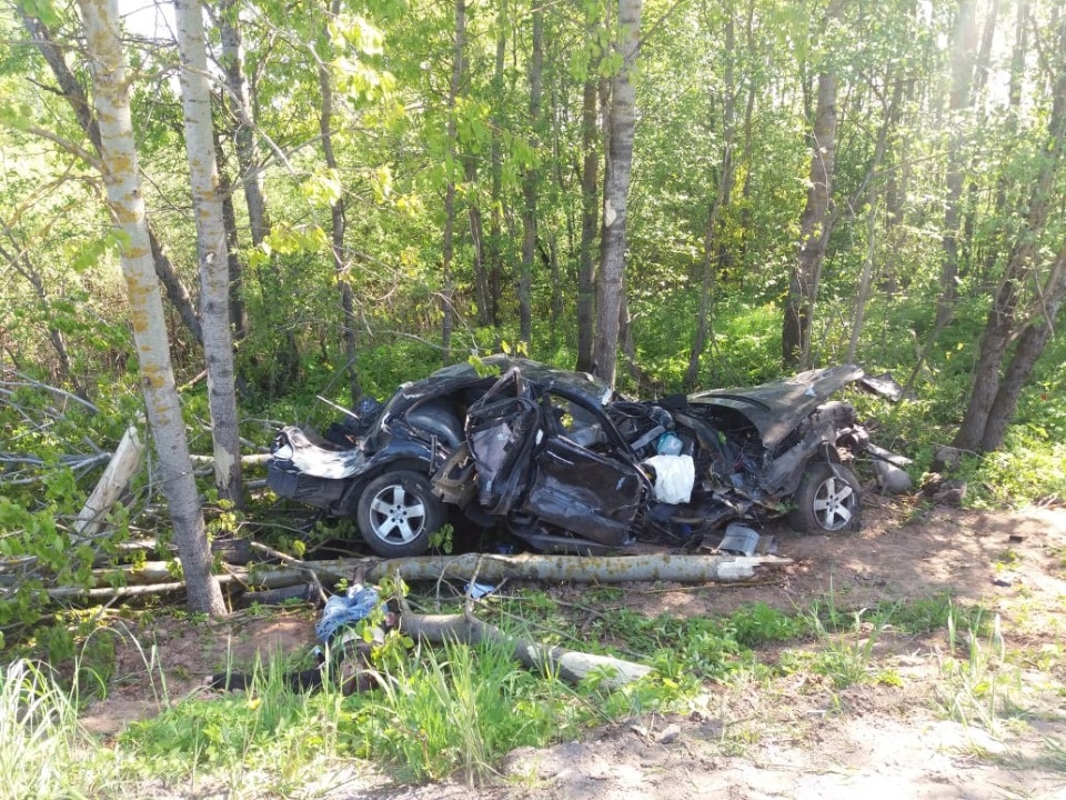 Два человека погибли в ДТП в Великолукском районе Два человека погибли в ДТП в Великолукском районе