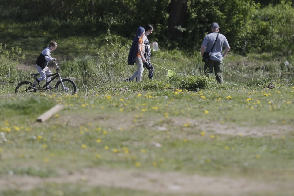 Заграница нам поможет! Заграница нам поможет!
