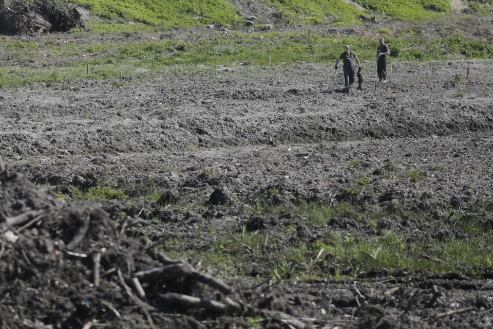 Заграница нам поможет! Заграница нам поможет!